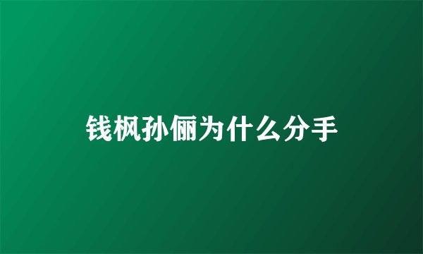 钱枫孙俪为什么分手