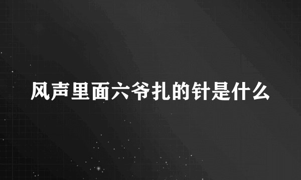 风声里面六爷扎的针是什么