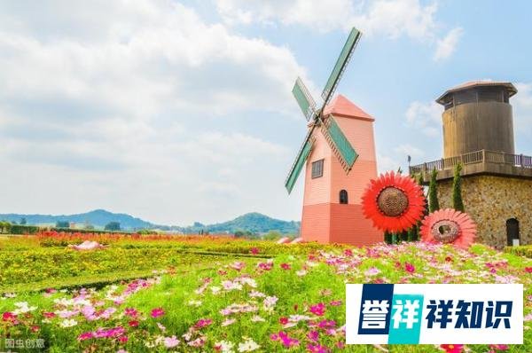 荷兰政府放宽中餐厨师签证!厨师出国最好机会出现