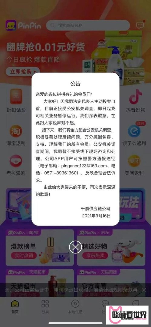 拼拼有礼正式崩盘！老板主动自首，结局完美？