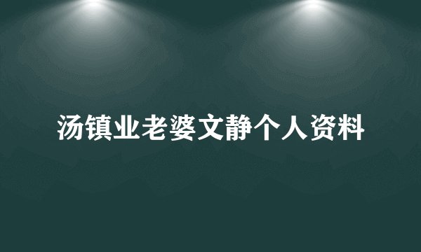 汤镇业老婆文静个人资料