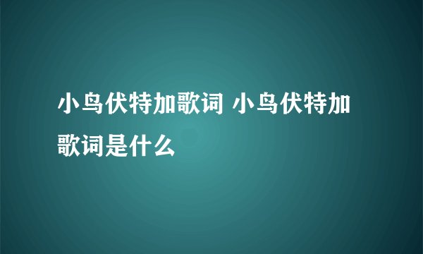 小鸟伏特加歌词 小鸟伏特加歌词是什么