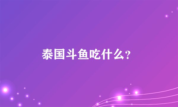 泰国斗鱼吃什么？