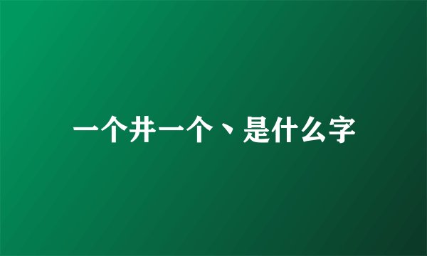 一个井一个丶是什么字