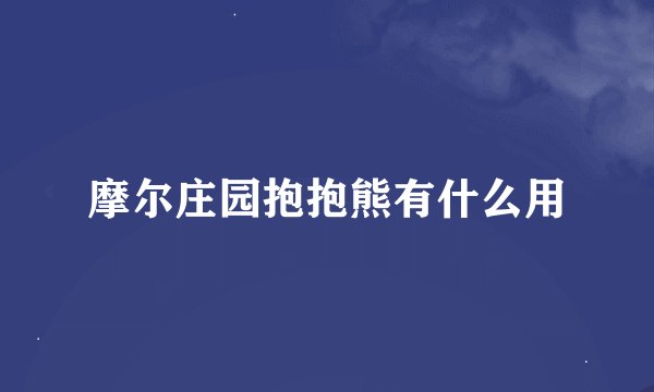 摩尔庄园抱抱熊有什么用