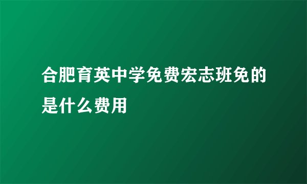 合肥育英中学免费宏志班免的是什么费用
