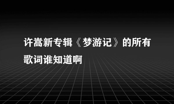 许嵩新专辑《梦游记》的所有歌词谁知道啊