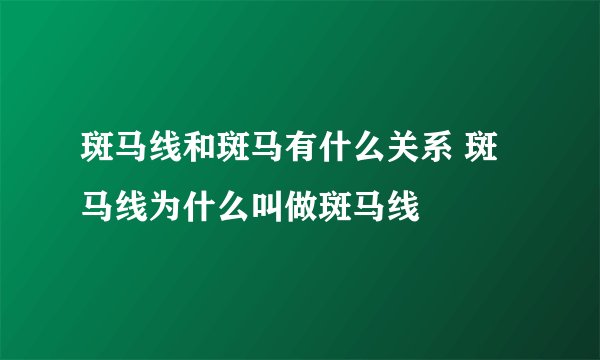 斑马线和斑马有什么关系 斑马线为什么叫做斑马线