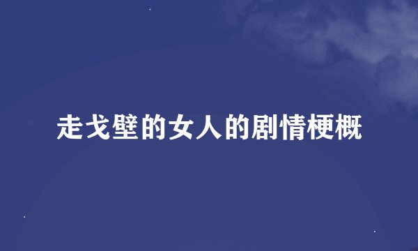 走戈壁的女人的剧情梗概