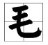 毛字旁的字有哪些?