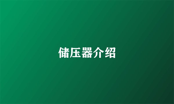 储压器介绍