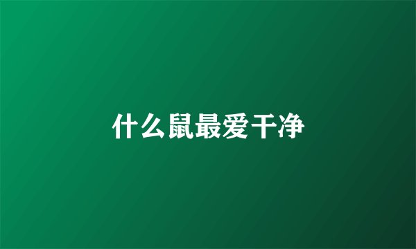 什么鼠最爱干净