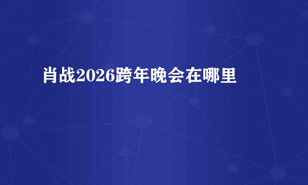 肖战2026跨年晚会在哪里