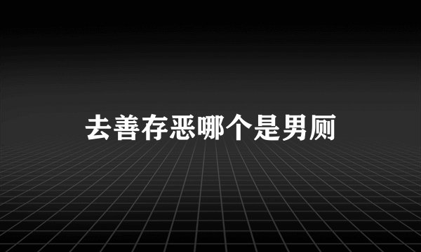去善存恶哪个是男厕
