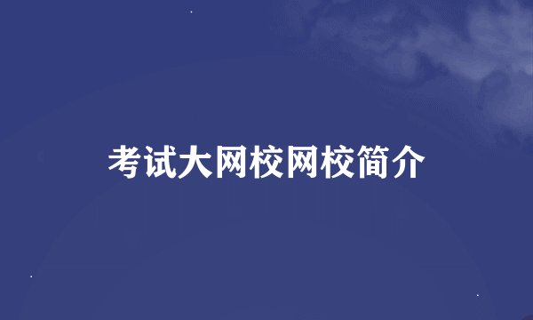 考试大网校网校简介