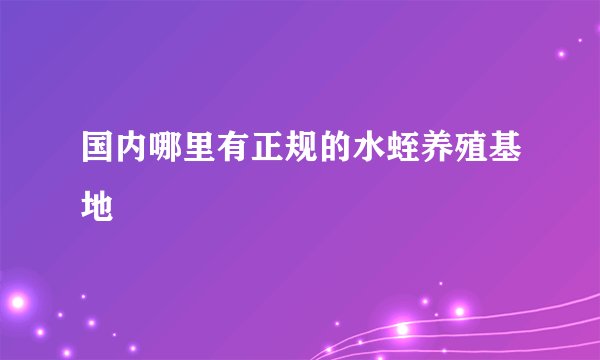 国内哪里有正规的水蛭养殖基地