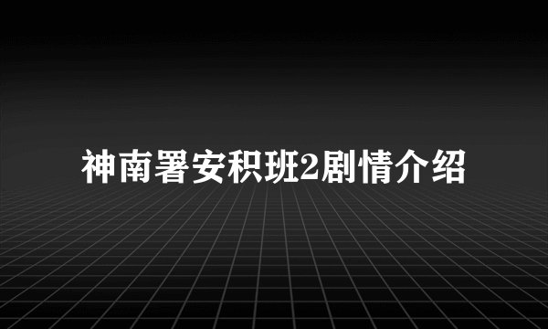 神南署安积班2剧情介绍