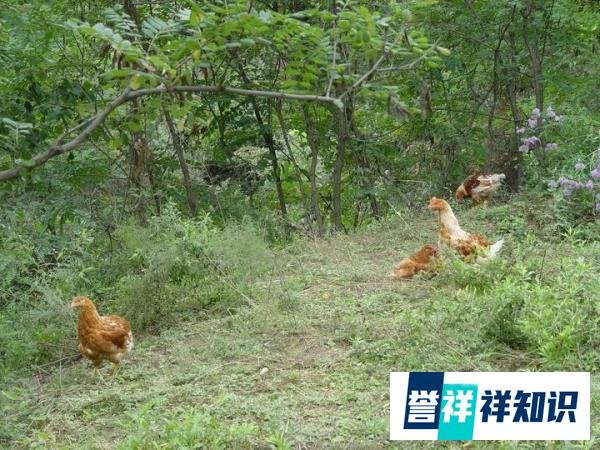 湖南裕农园怎么样？