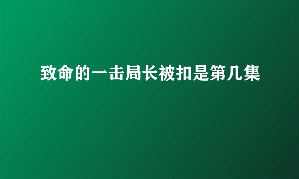 致命的一击局长被扣是第几集