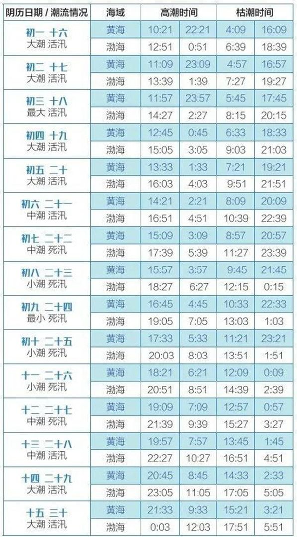 大连赶海潮汛时间表2024