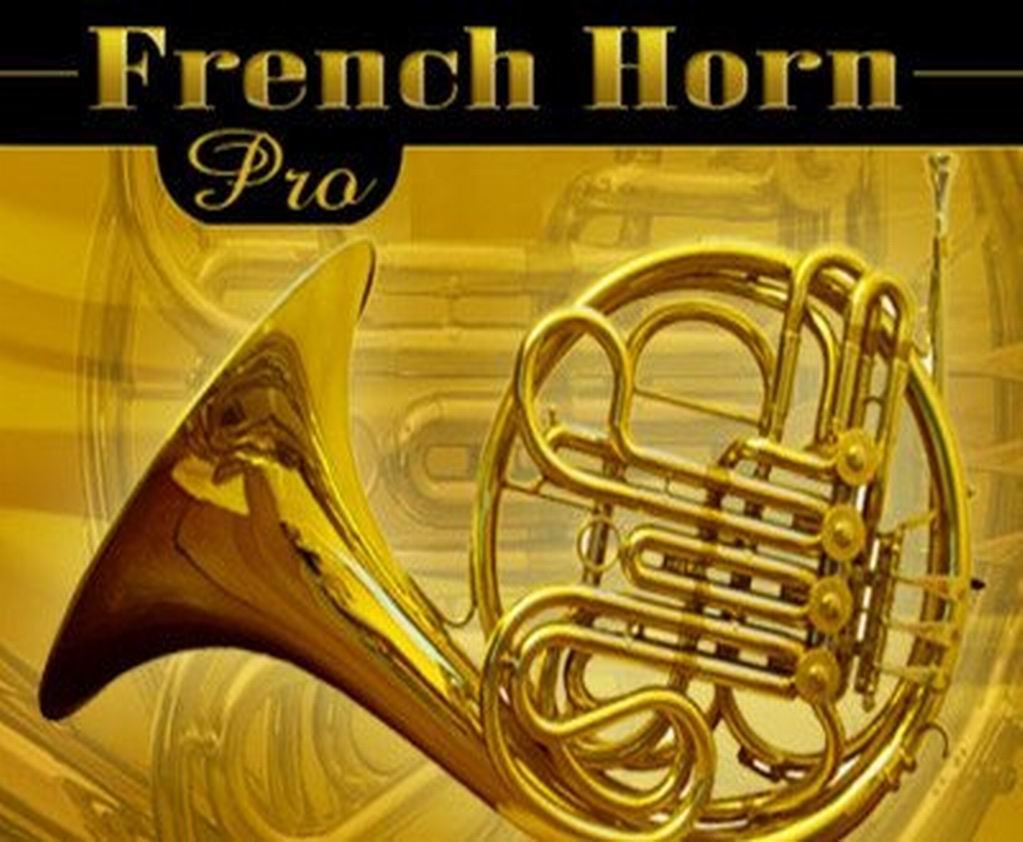 Franch,France都是法国的意思？French是法语