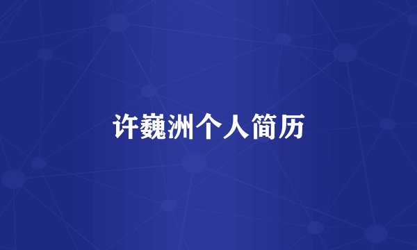 许巍洲个人简历