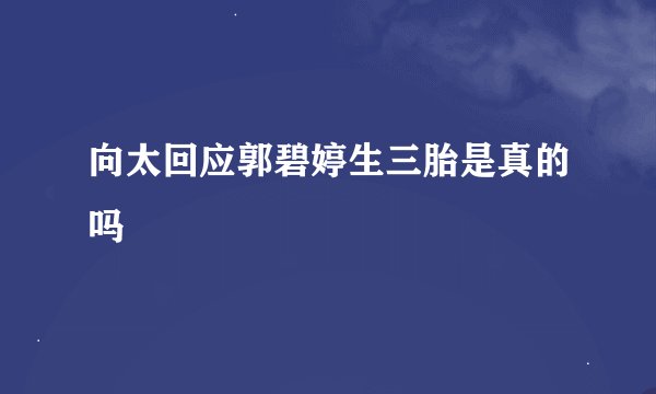 向太回应郭碧婷生三胎是真的吗