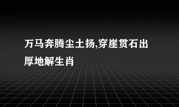 万马奔腾尘土扬,穿崖贯石出厚地解生肖