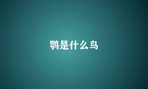 鹗是什么鸟