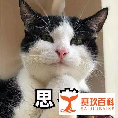 上海一小区多户占公共区域搭灵棚 ,「燃烧逝者衣物,哭丧声不断」,如何看待此事?