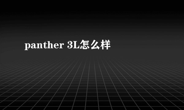 panther 3L怎么样