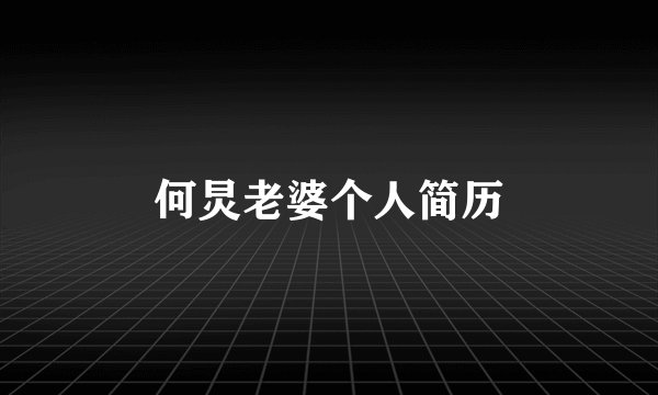 何炅老婆个人简历