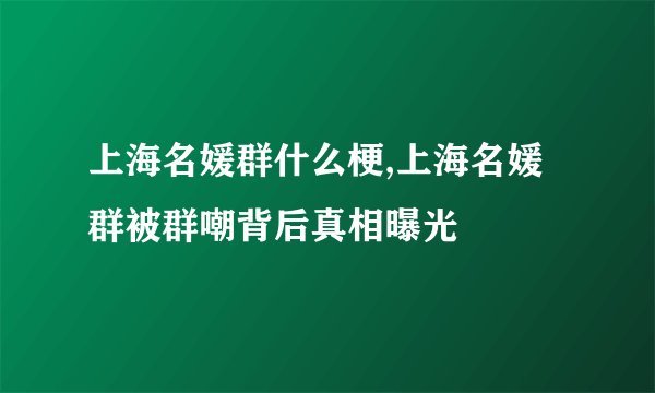上海名媛群什么梗,上海名媛群被群嘲背后真相曝光