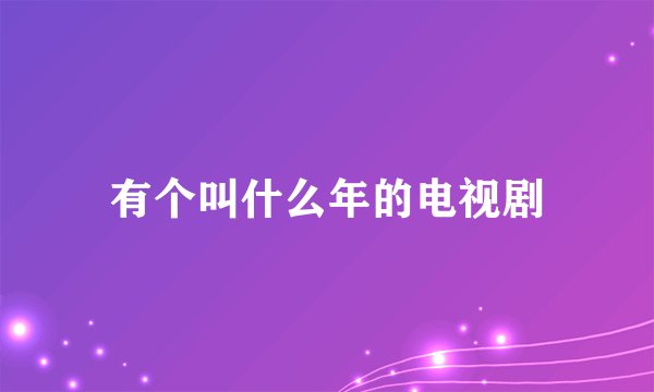 有个叫什么年的电视剧