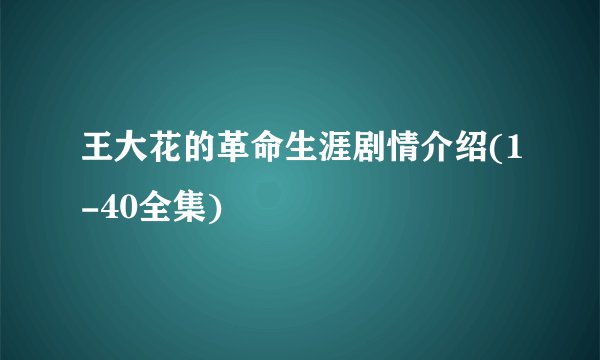 王大花的革命生涯剧情介绍(1-40全集)