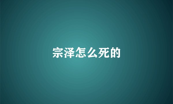宗泽怎么死的