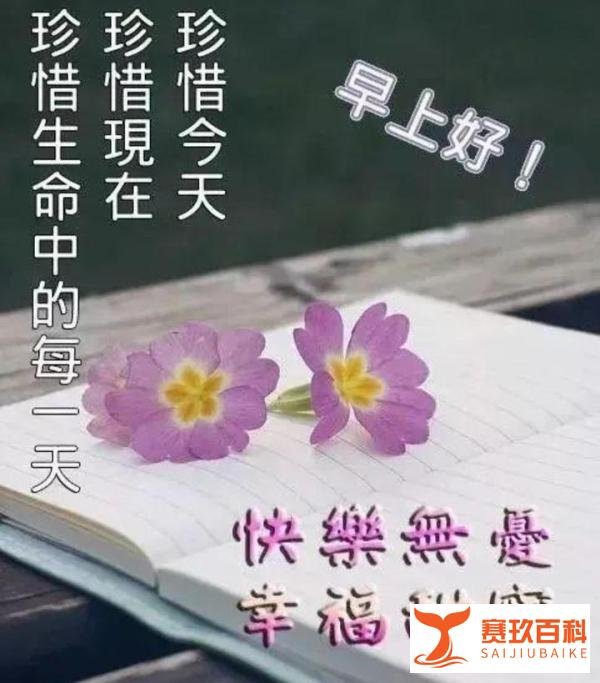 只为与你早日相见，却成了永别