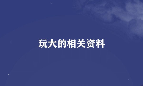 玩大的相关资料