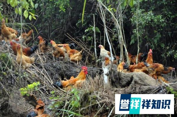 湖南裕农园怎么样?