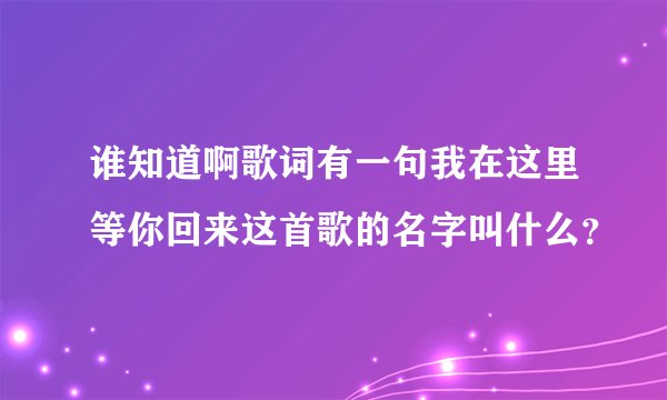 谁知道啊歌词有一句我在这里等你回来这首歌的名字叫什么?