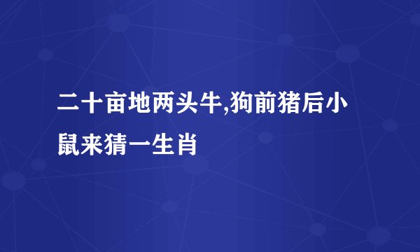 二十亩地两头牛,狗前猪后小鼠来猜一生肖