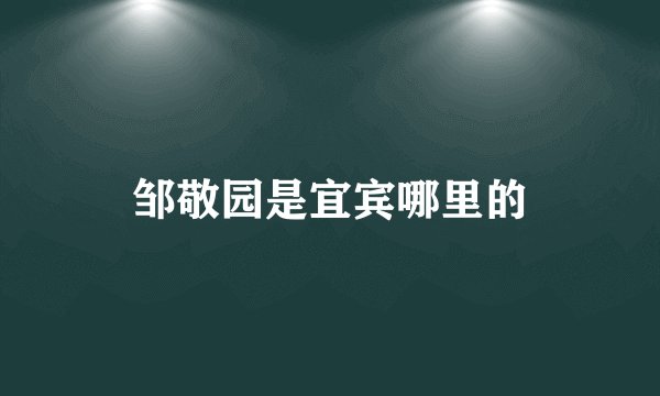 邹敬园是宜宾哪里的