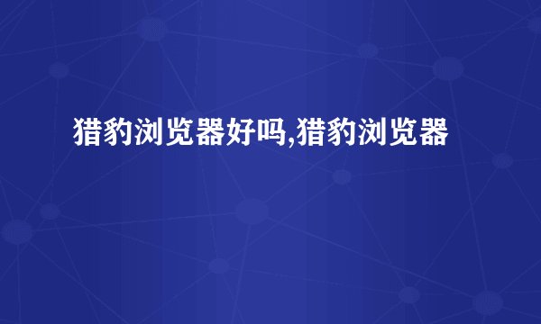 猎豹浏览器好吗,猎豹浏览器