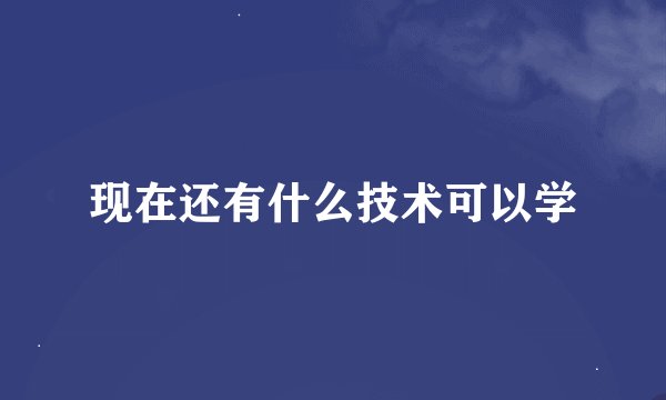 现在还有什么技术可以学