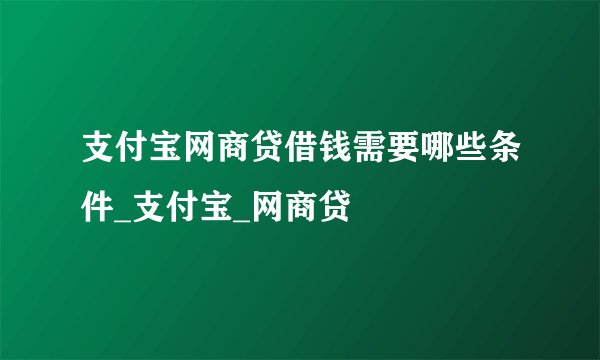 支付宝网商贷借钱需要哪些条件_支付宝_网商贷