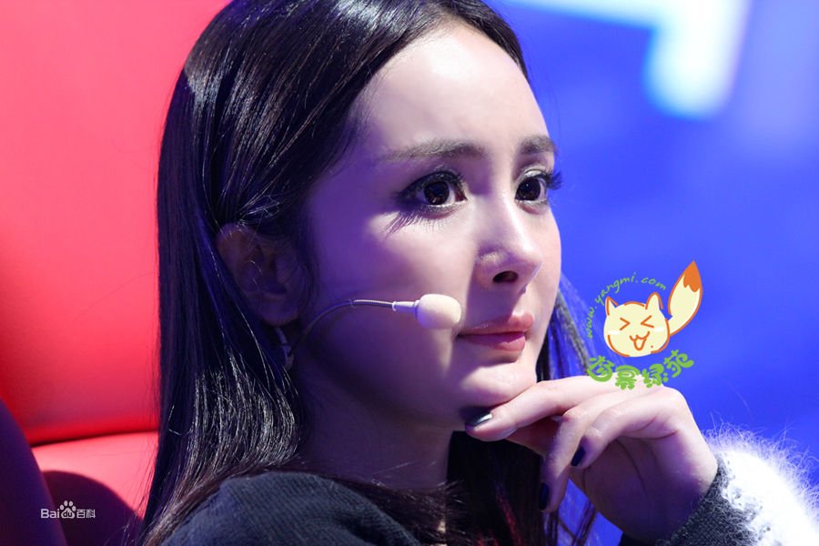 杨幂绿苑的管理团队