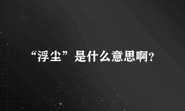 “浮尘”是什么意思啊？
