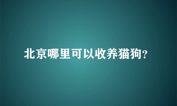 北京哪里可以收养猫狗？
