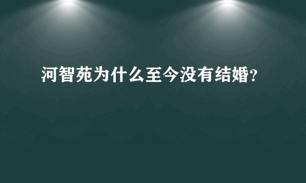 河智苑为什么至今没有结婚？