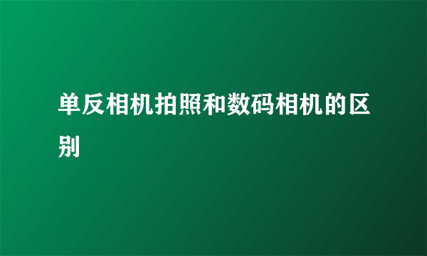 单反相机拍照和数码相机的区别